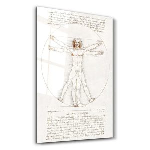 Leonardo da Vinci Vitruvius Oranları - Dikey Temperli Cam Tablo Modelleri ve Fiyatları | Tablobudur