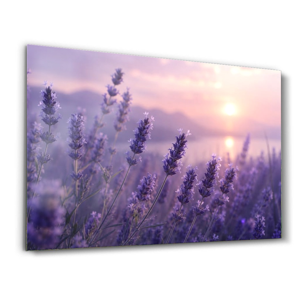 Provence Lavanta Vadisinde Günbatımı - Yatay Cam Tablo Modelleri Provence Lavanta Vadisinde Günbatımı - Yatay Temperli Cam Tablo Modelleri ve Fiyatları | Tablobudur